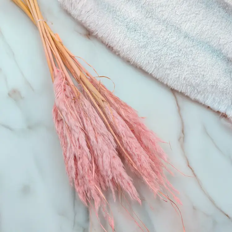 Mini pampas różowy perłowy 1.png