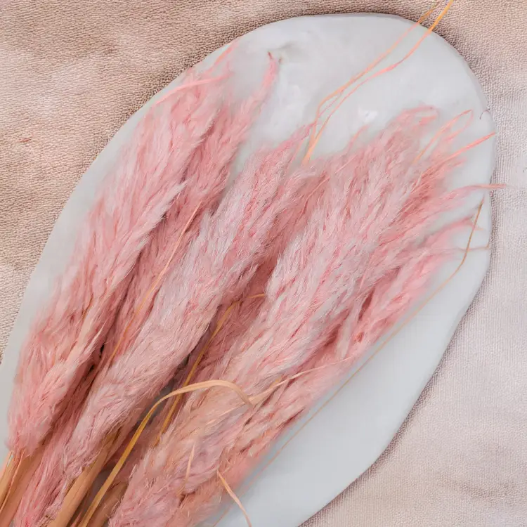 Mini pampas różowy perłowy 2.png