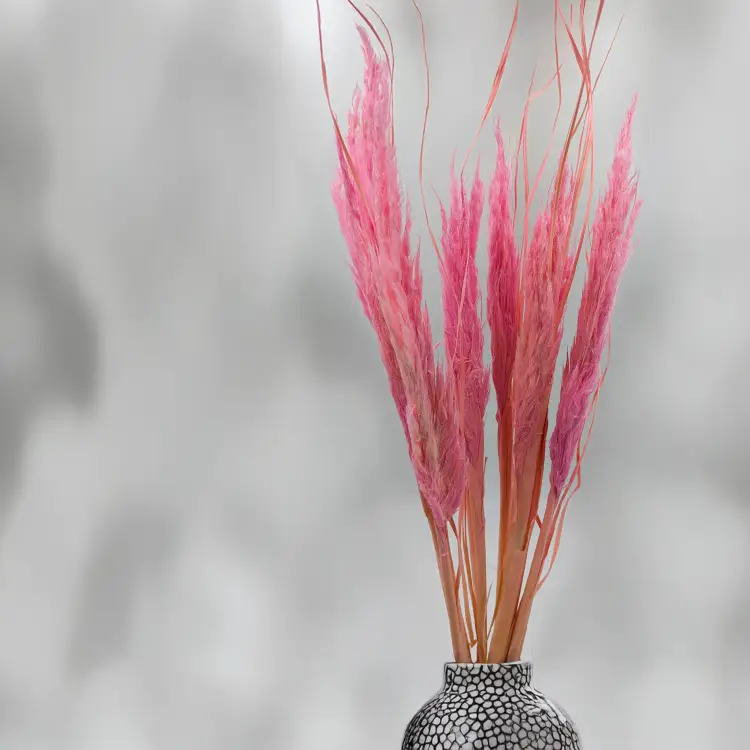 Mini pampas różowy 3.png