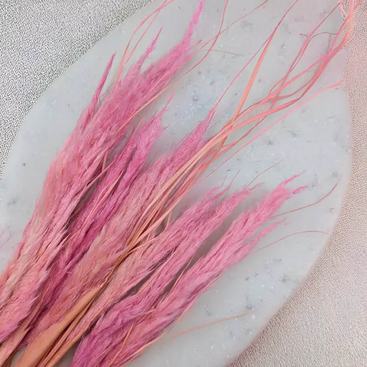 Mini pampas różowy 2.png