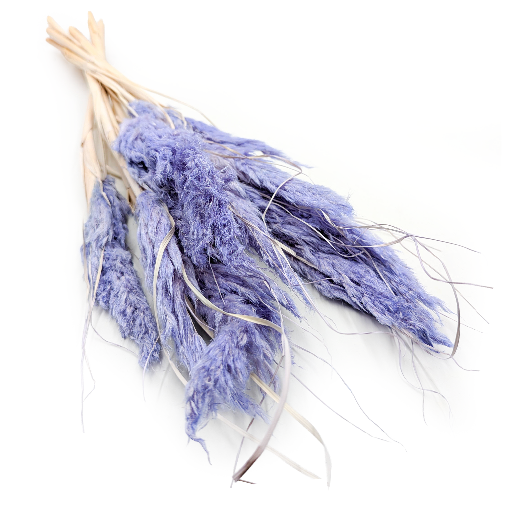 Mini Trawa Pampasowa – Lawendowa – 10 szt