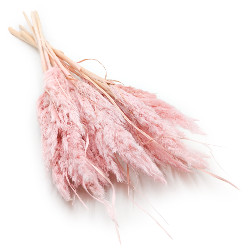 mini pampas perłowy róż.png