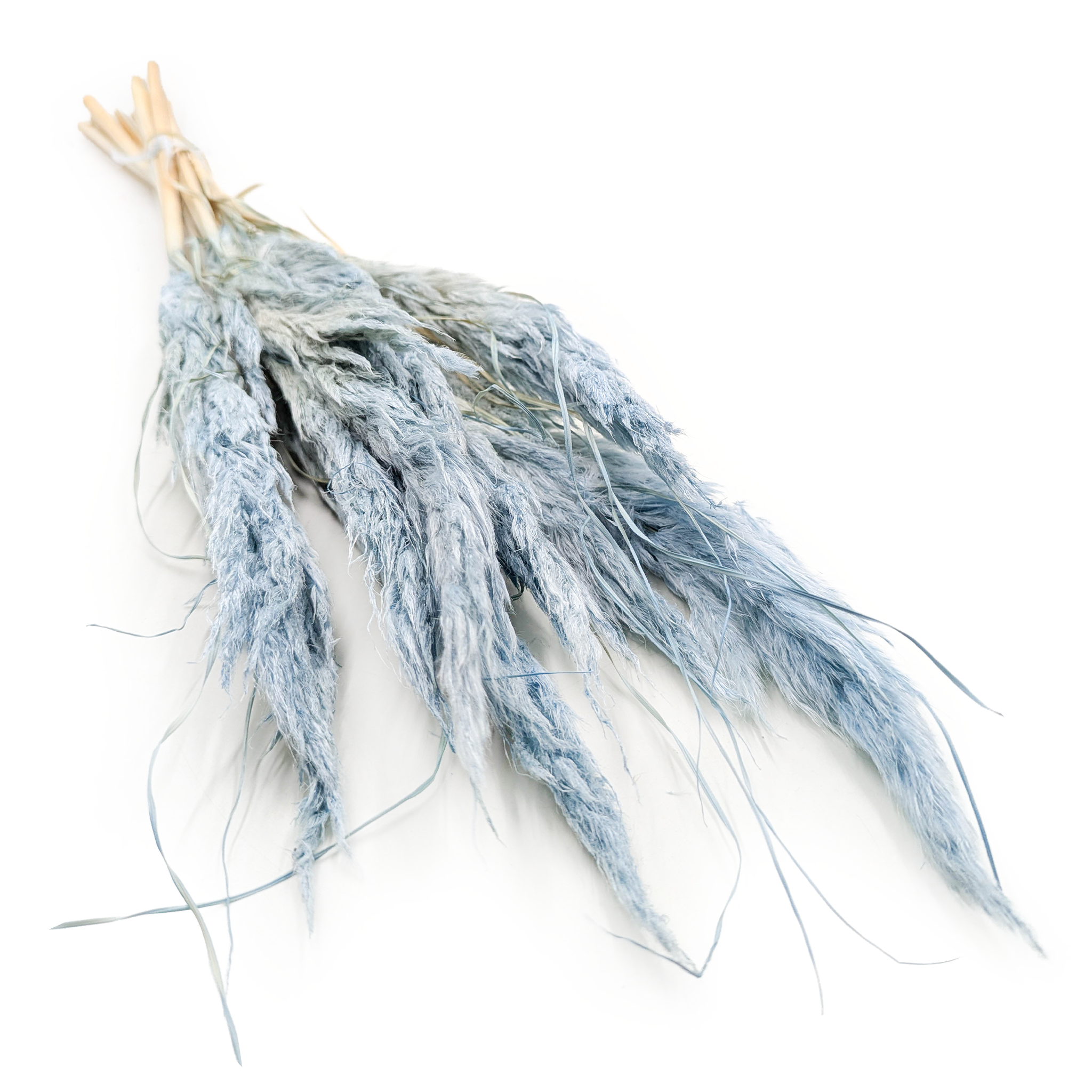 Mini Trawa Pampasowa – Błękitna – 10szt