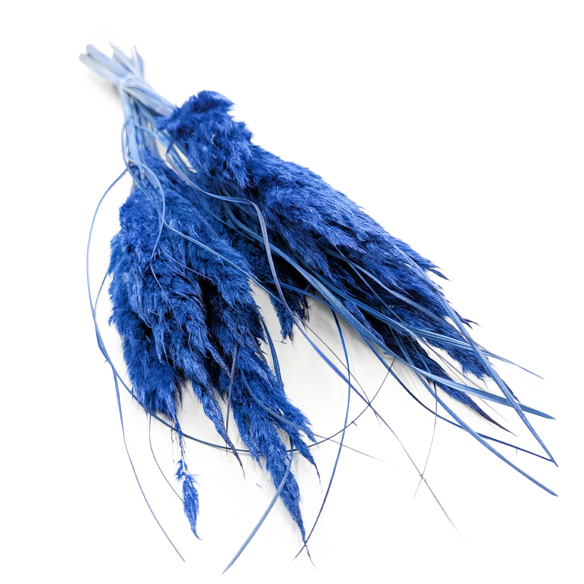 Mini Trawa Pampasowa – Niebieska – 10 szt