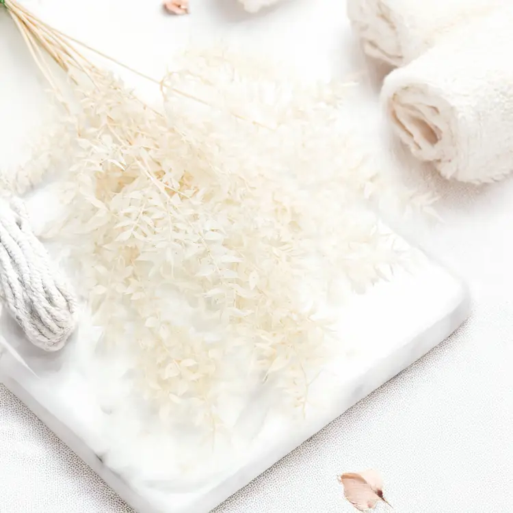 Ruskus Bielony Stabilizowany.png