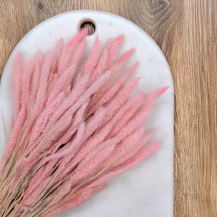 Setaria pastelowy róż 2.png