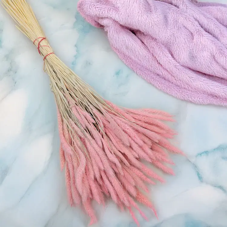 Setaria pastelowy róż 1.png