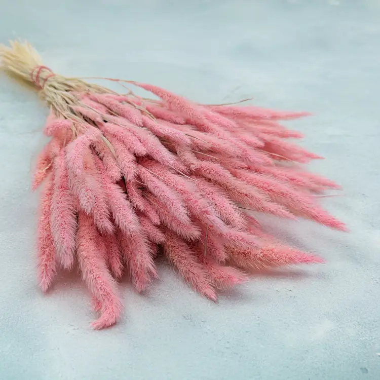 Setaria pastelowy róż.png