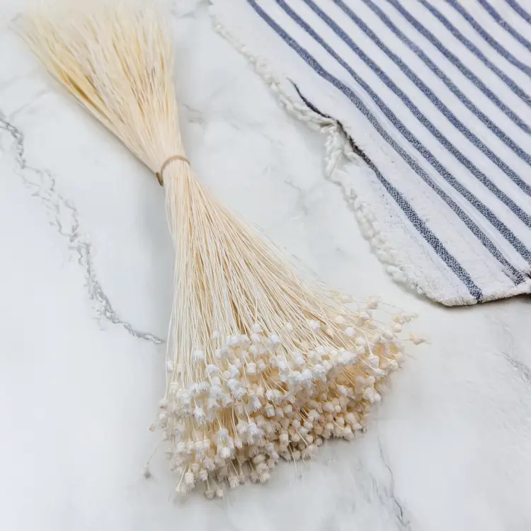 Jazilda bielona 1.png