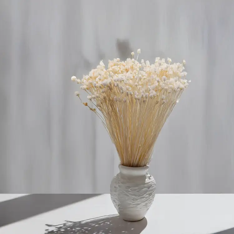 Jazilda bielona 3.png