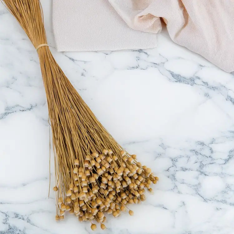 Jazilda naturalna 1.png