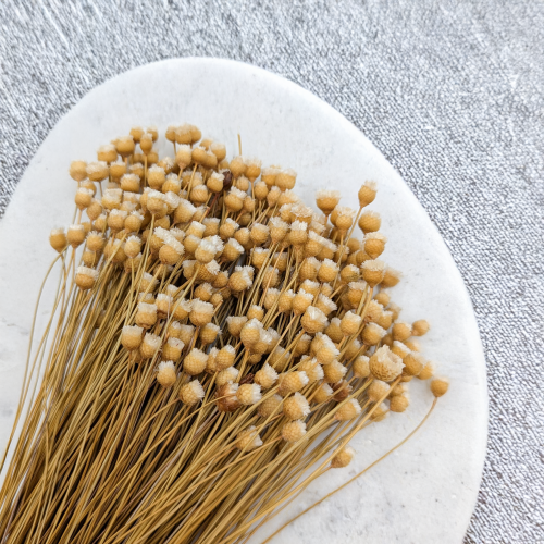 Jazilda naturalna 2.png