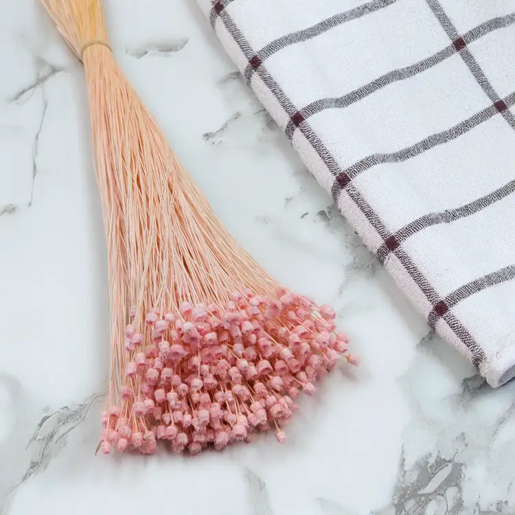 Jazilda różowa 1.png