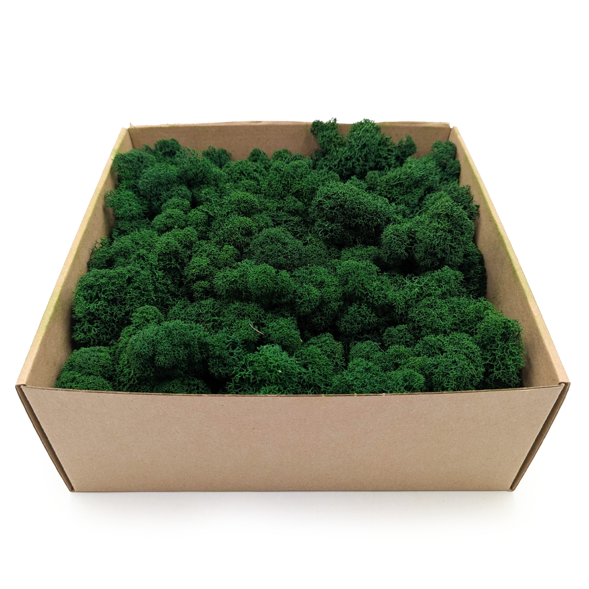 Mech Chrobotek - Alpejski - Oczyszczony - Leśny Zielony 250g NETTO