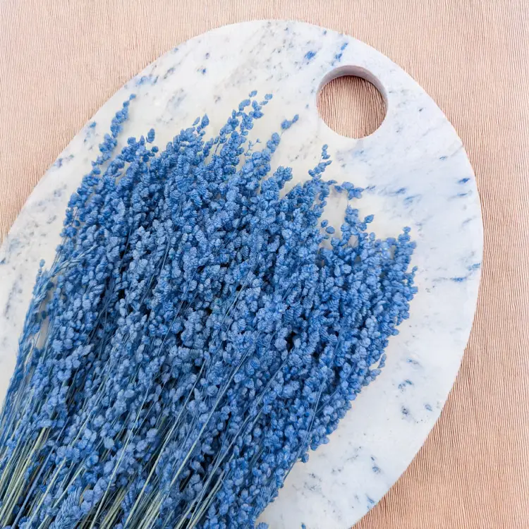 Briza minima niebieska 2.png