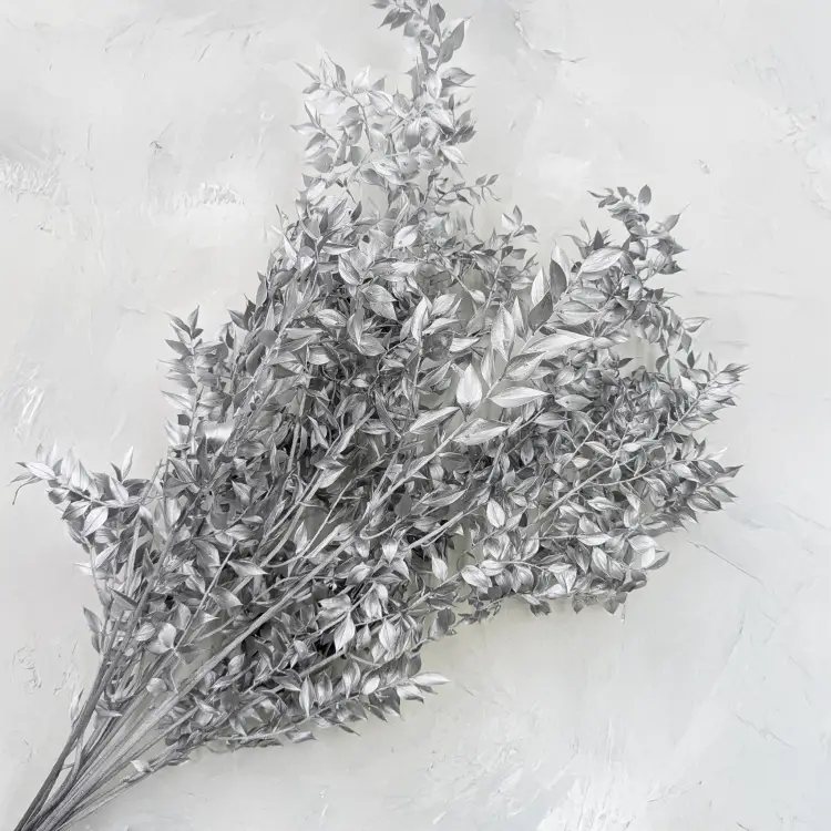 Ruskus suszony srebrny 3.png