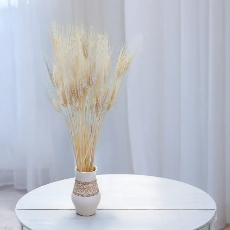 Pszenżyto EXTRA Bielone 3.png