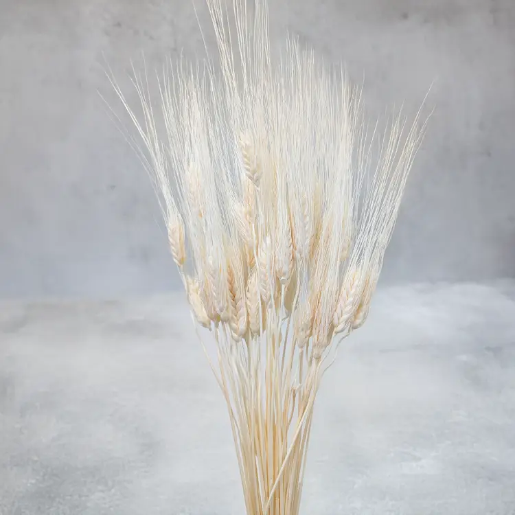 Pszenżyto EXTRA Bielone 4.png