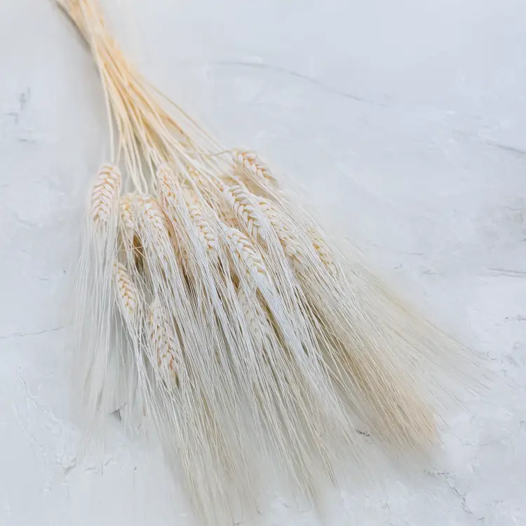 Pszenżyto EXTRA Bielone.png