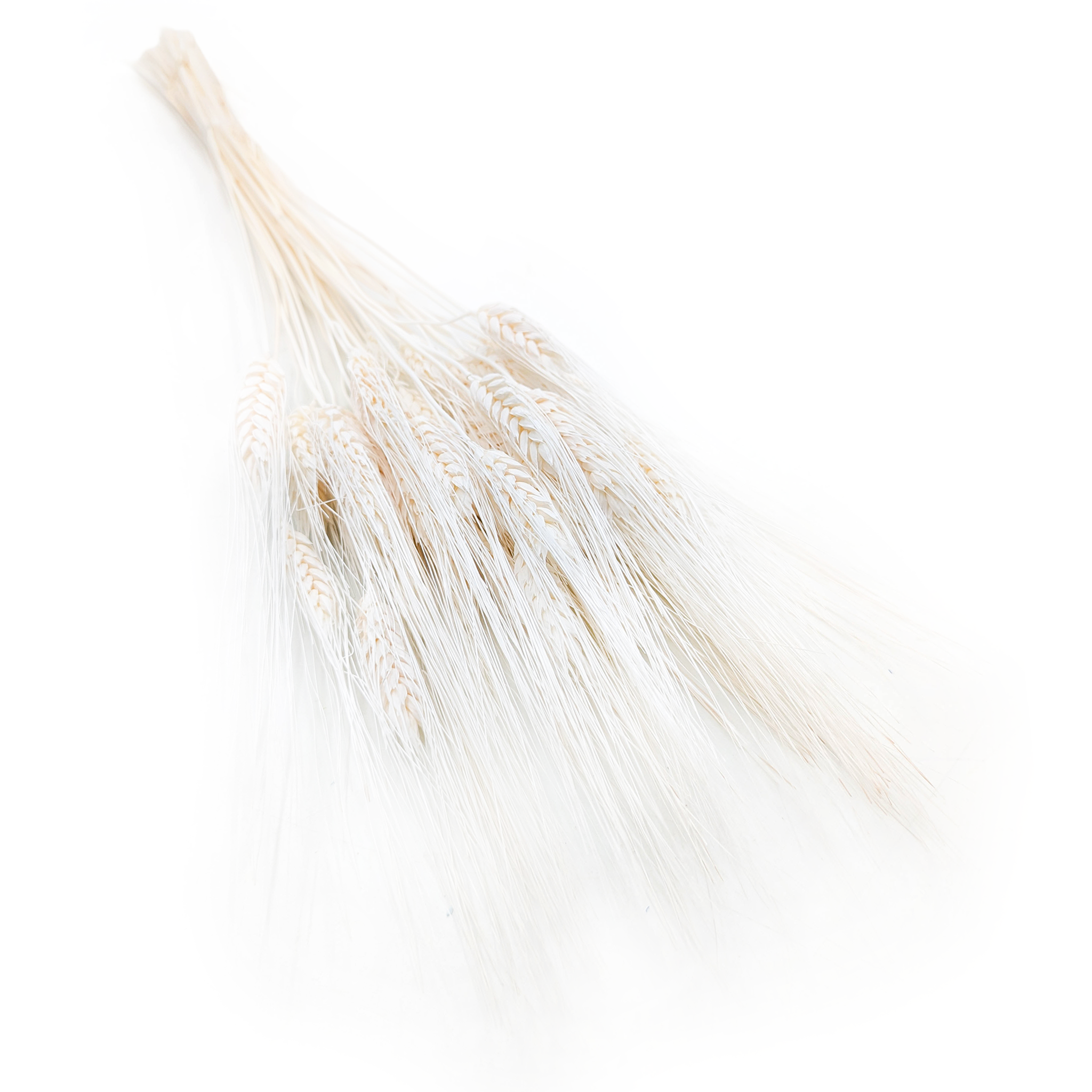 Pszenżyto Suszone - Extra Bielone