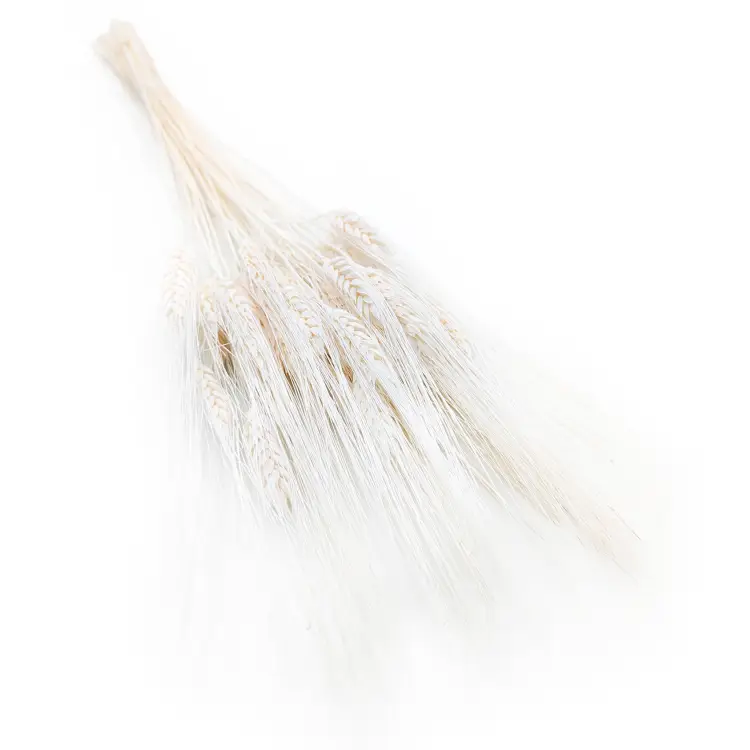 Pszenzyto EXTRA bielone.png