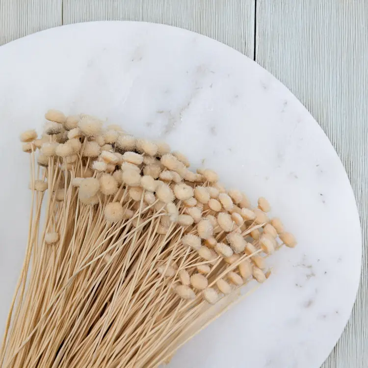 Amarelino beżowe 2.png