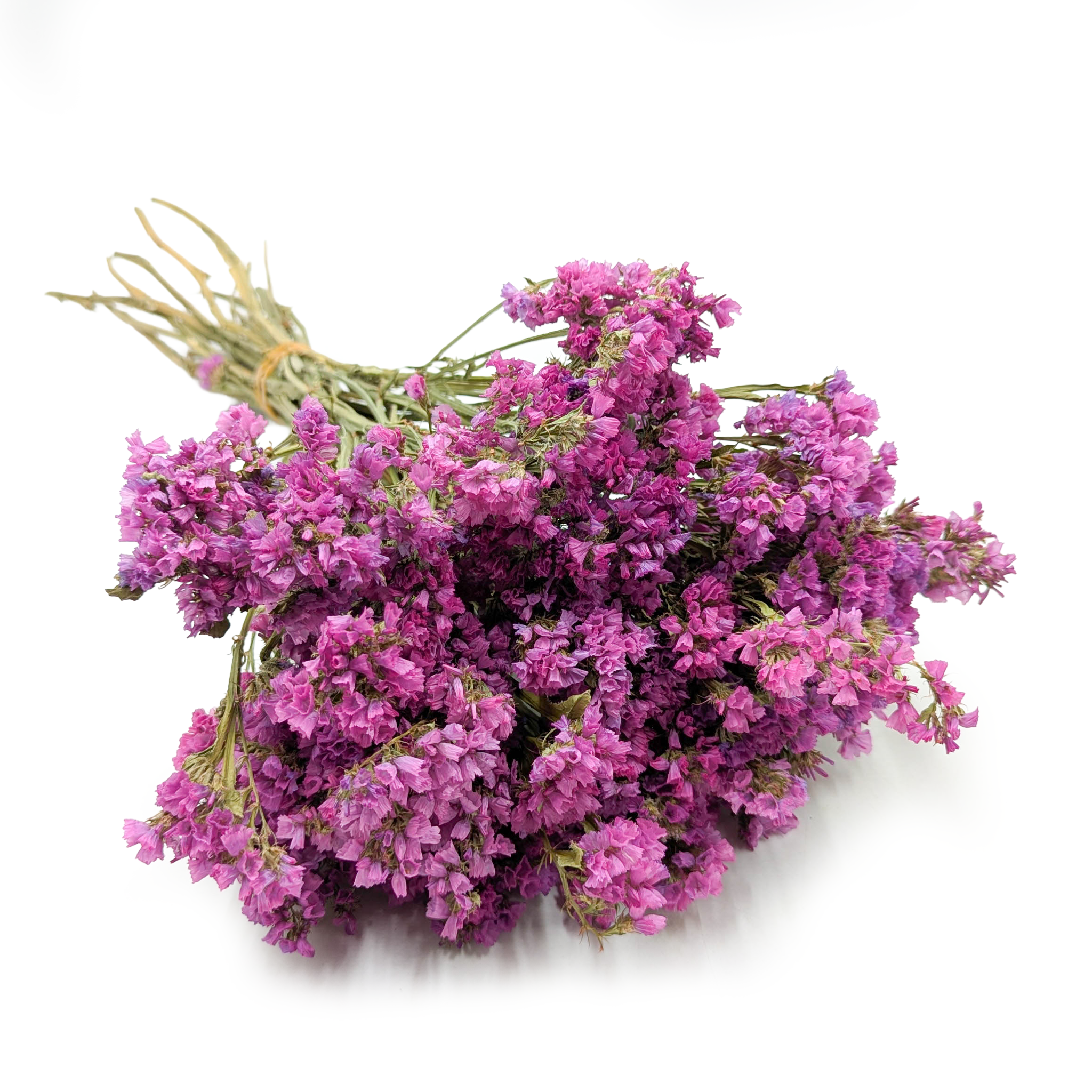 Zatrwian Wrębny  - Limonium sinuatum - Różowy