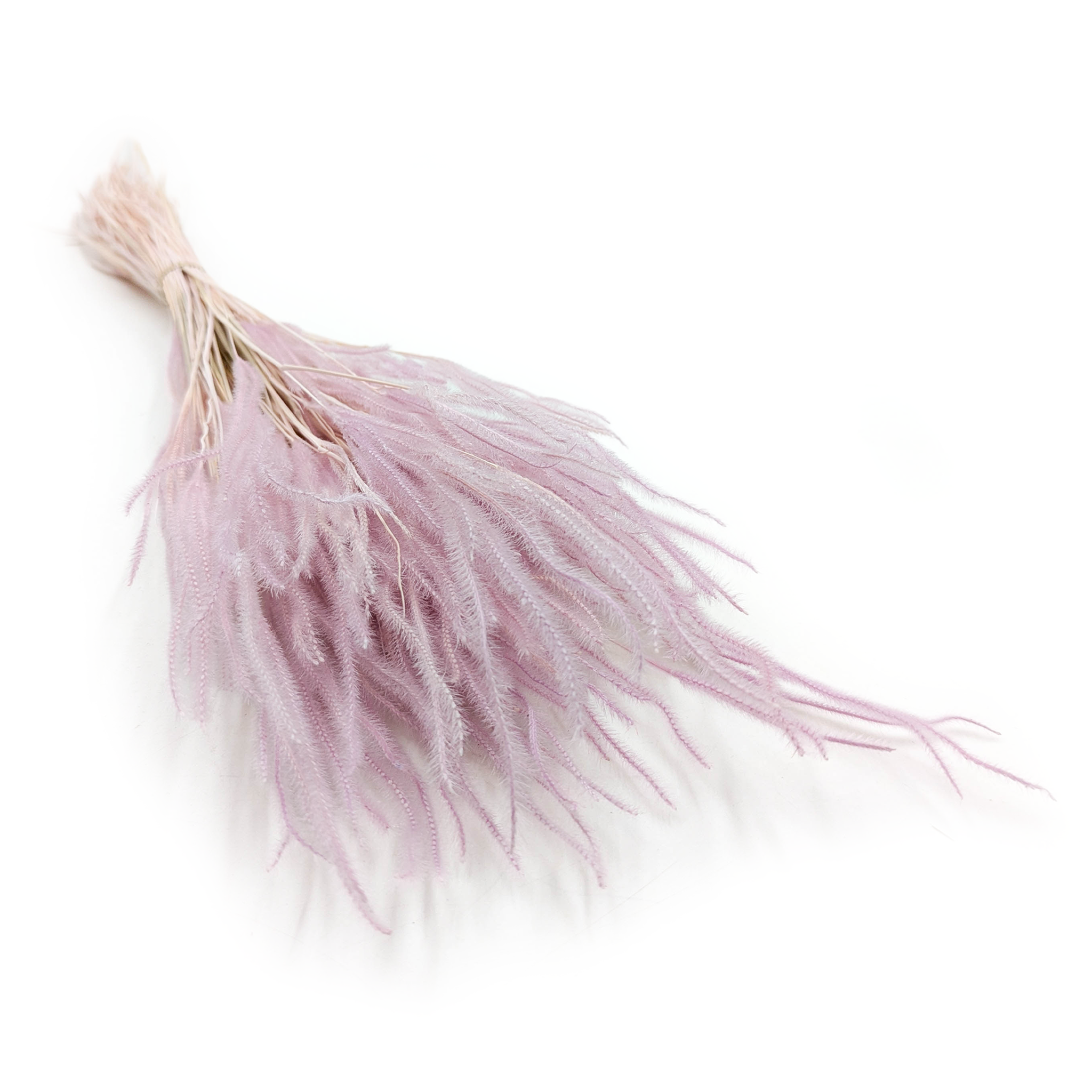 Ouro Stabilizowane - Wrzosowe