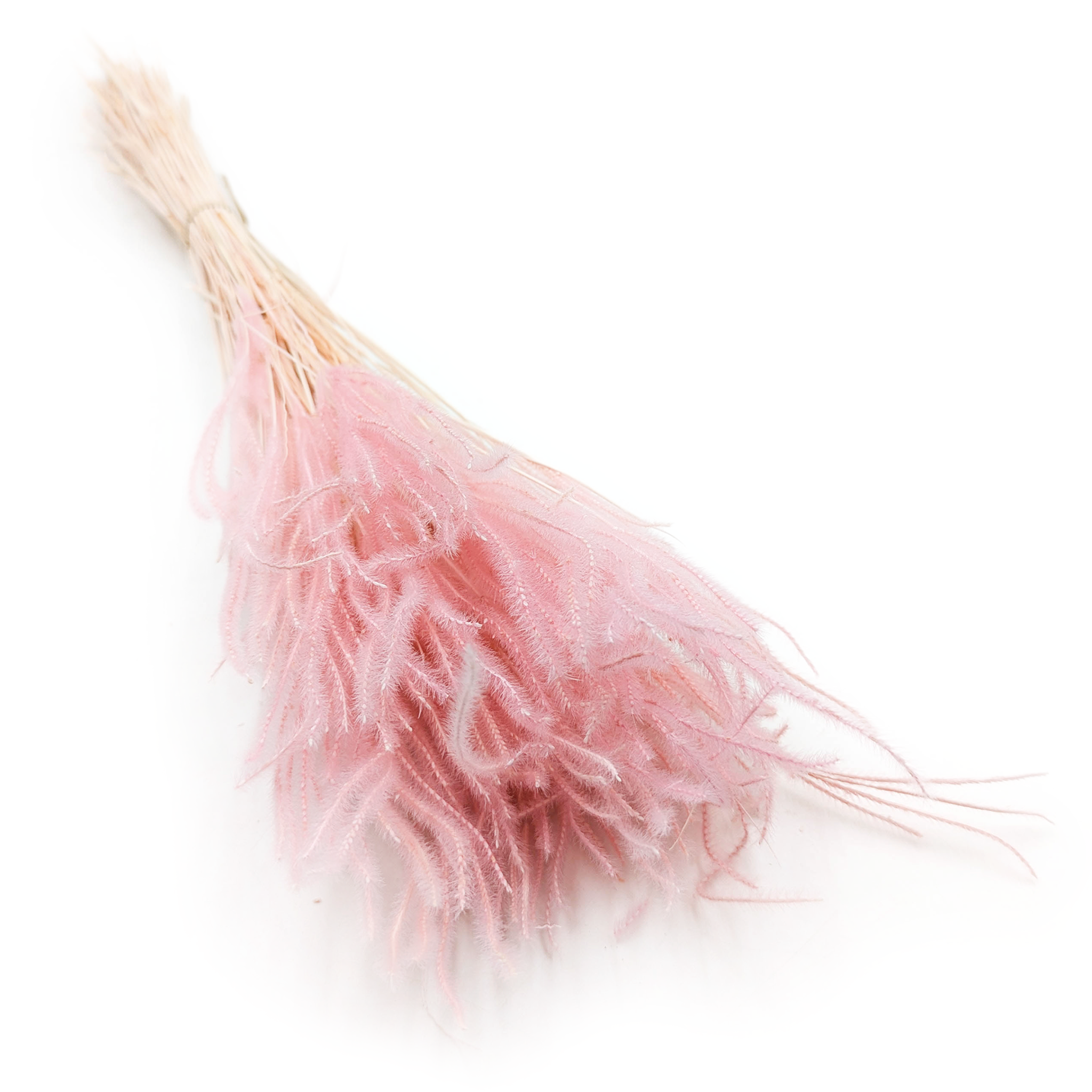 Ouro Stabilizowane - Różowe