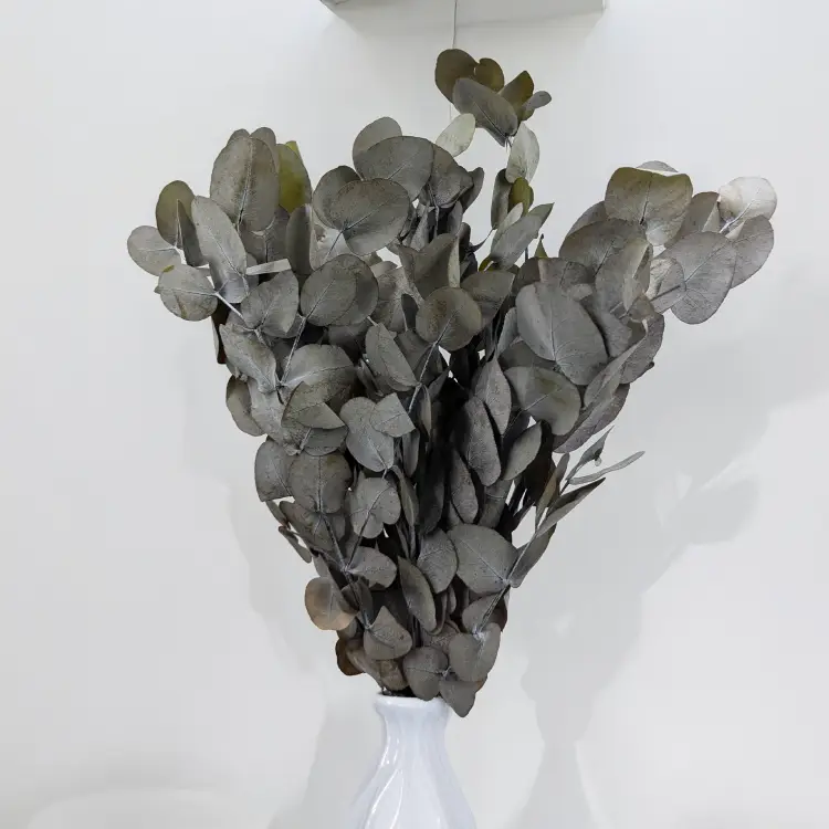 Eukaliptus Espiral Szaro-zielony IT 4.png