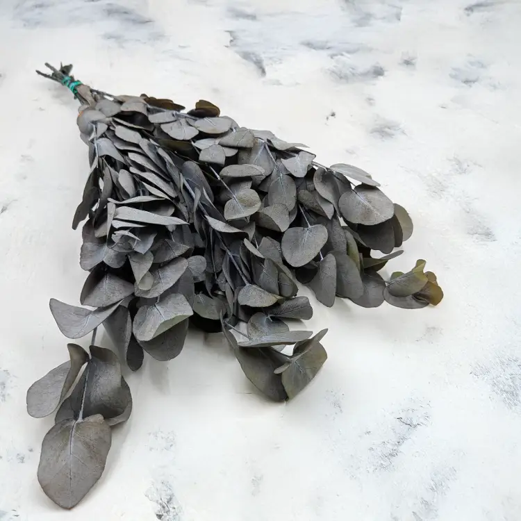 Eukaliptus Espiral Szaro-zielony IT 1.png