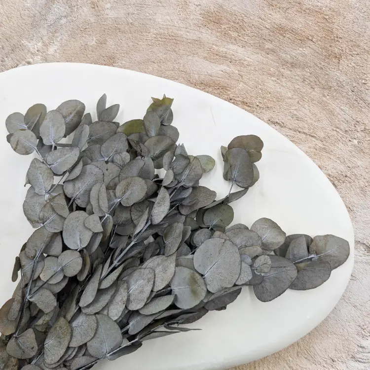 Eukaliptus Espiral Szaro-zielony IT 3.png