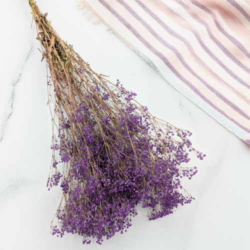 Gipsówka Pastel Fiol IT 2.png