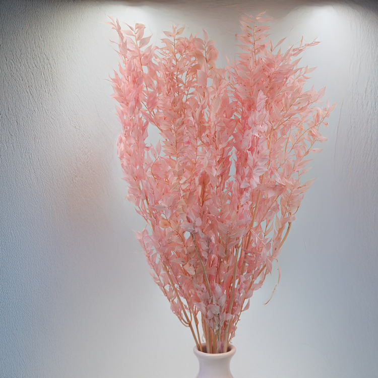 Ruskus pudrowy róż ES 4.png