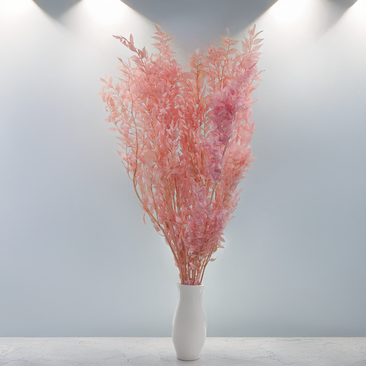 Ruskus pudrowy róż ES 5.png