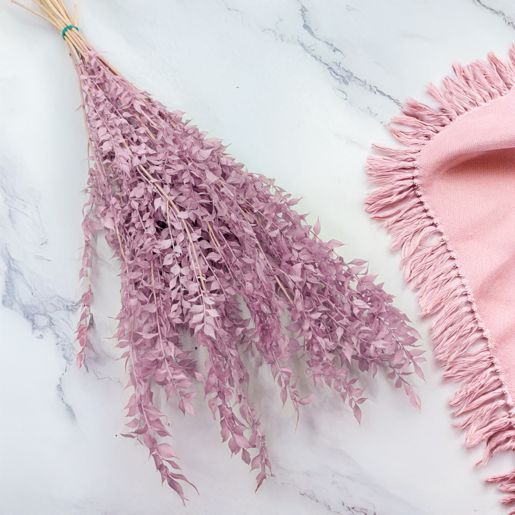 Ruskus wrzosowy 82 ES 2.png