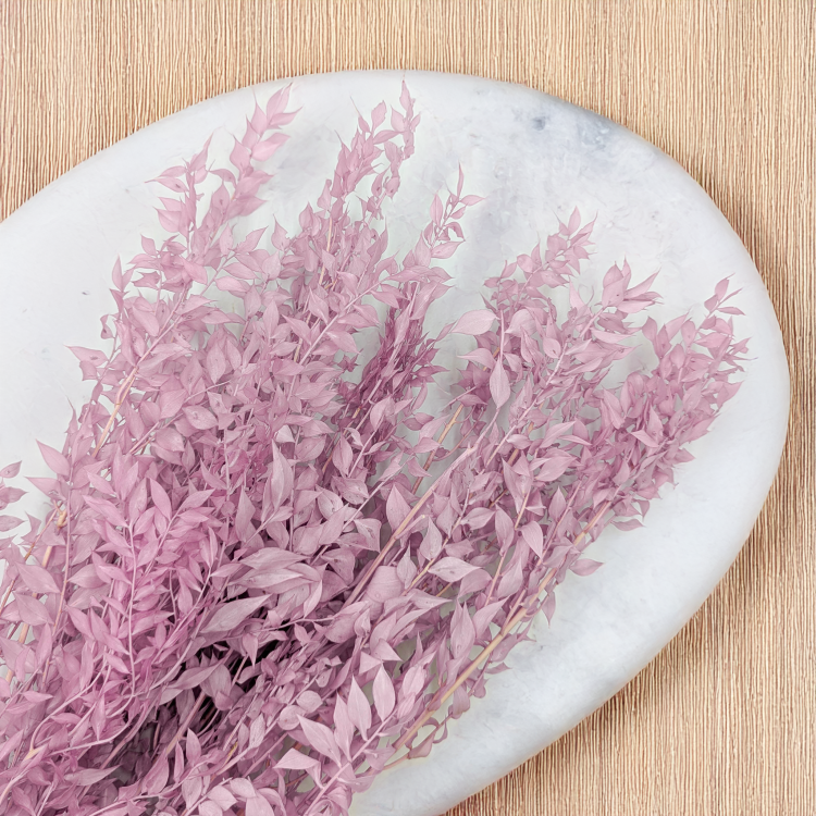 Ruskus wrzosowy 82 ES 3.png