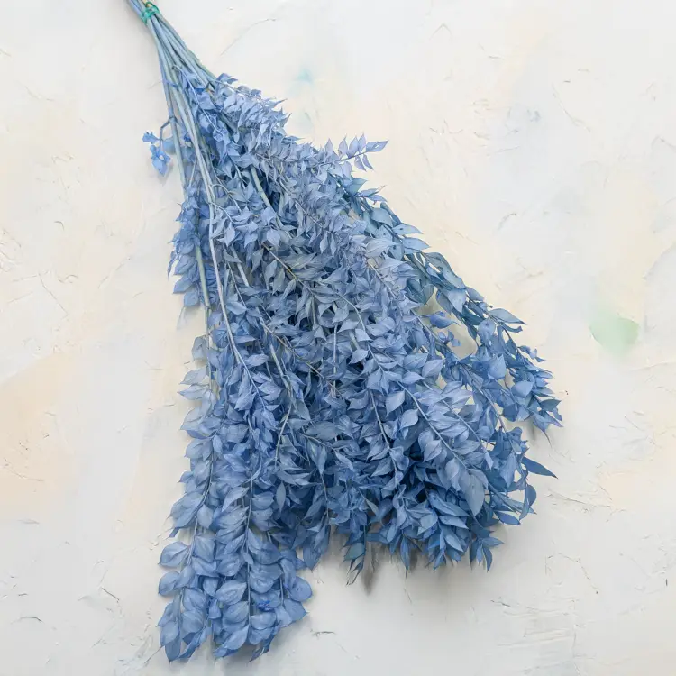 Ruskus Stalowy błękit 2.png