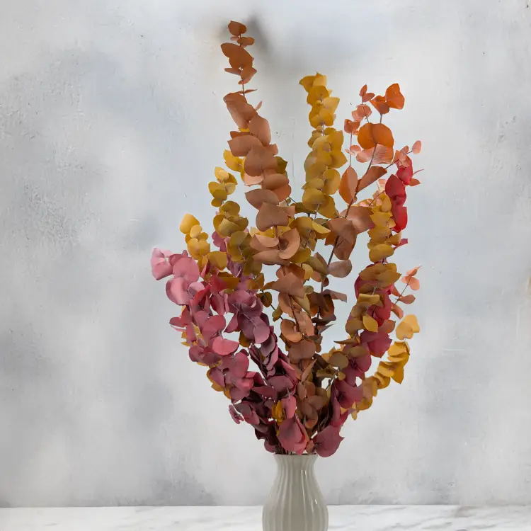 Stuartiana Jesienny LC 4.png