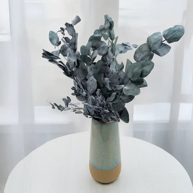 Cinerea Zielona LC 4.png