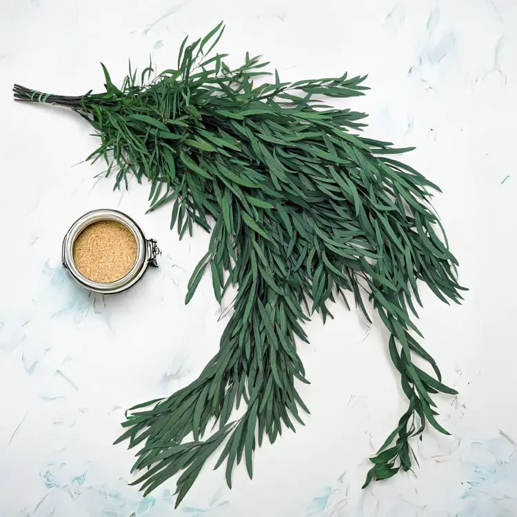 Nicoly Zielony LC 1.png