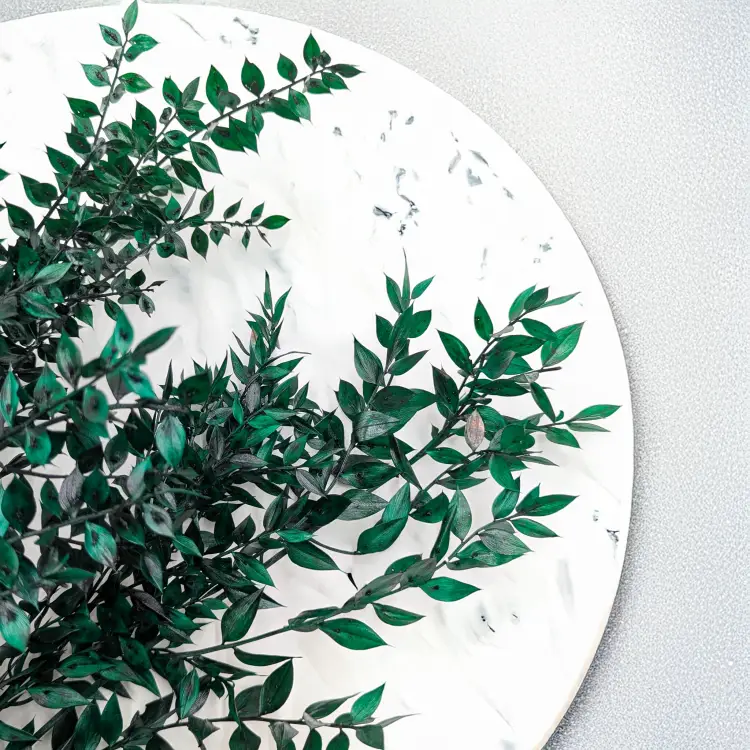 Ruskus stabilizowany zielony IT 2.png