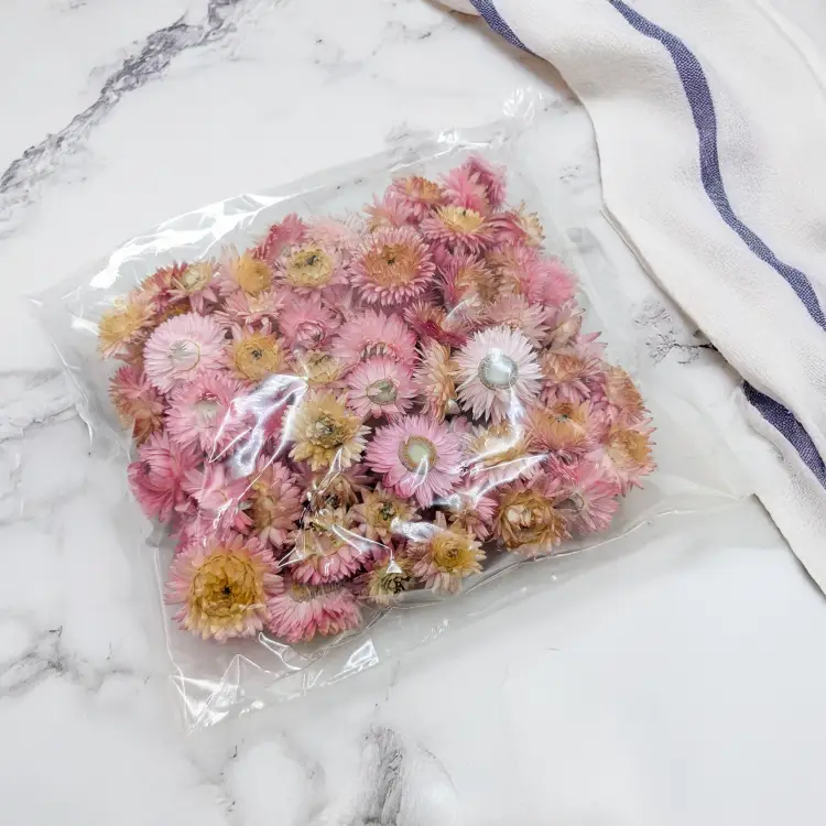 Kocanki głowki różowy 2.png