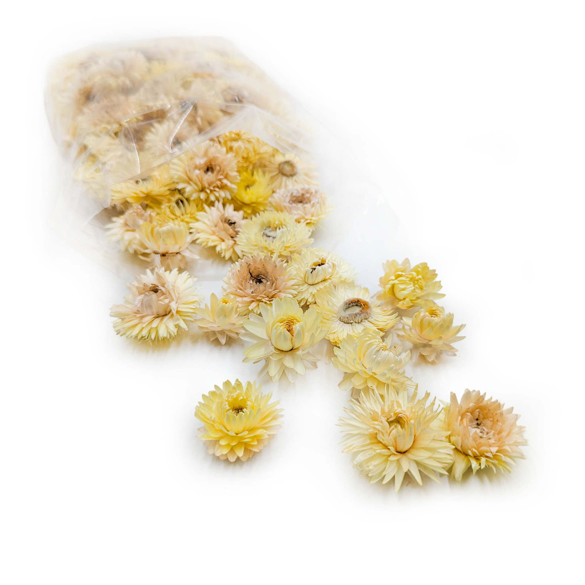 Kocanka Suszona - Główki - (Helichrysum) - Cytryna