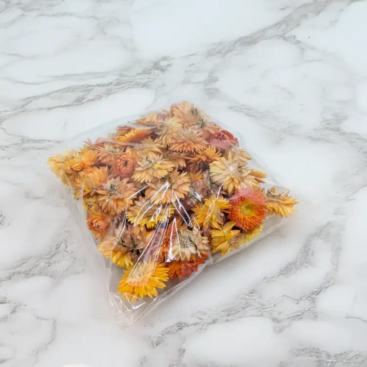 Kocanki głowki pomarancz 3.png