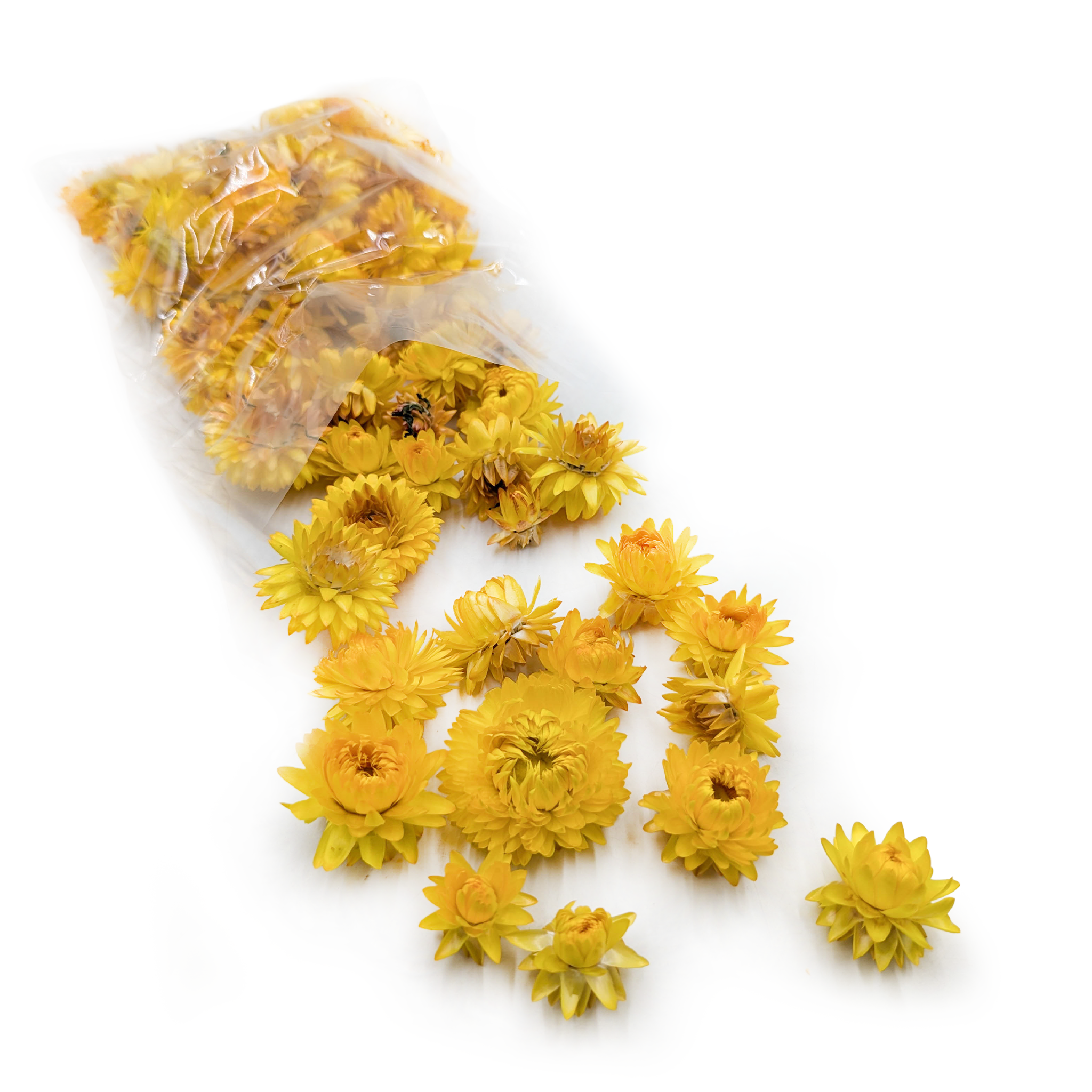 Kocanka Suszona - Główki - (Helichrysum) - Żółta