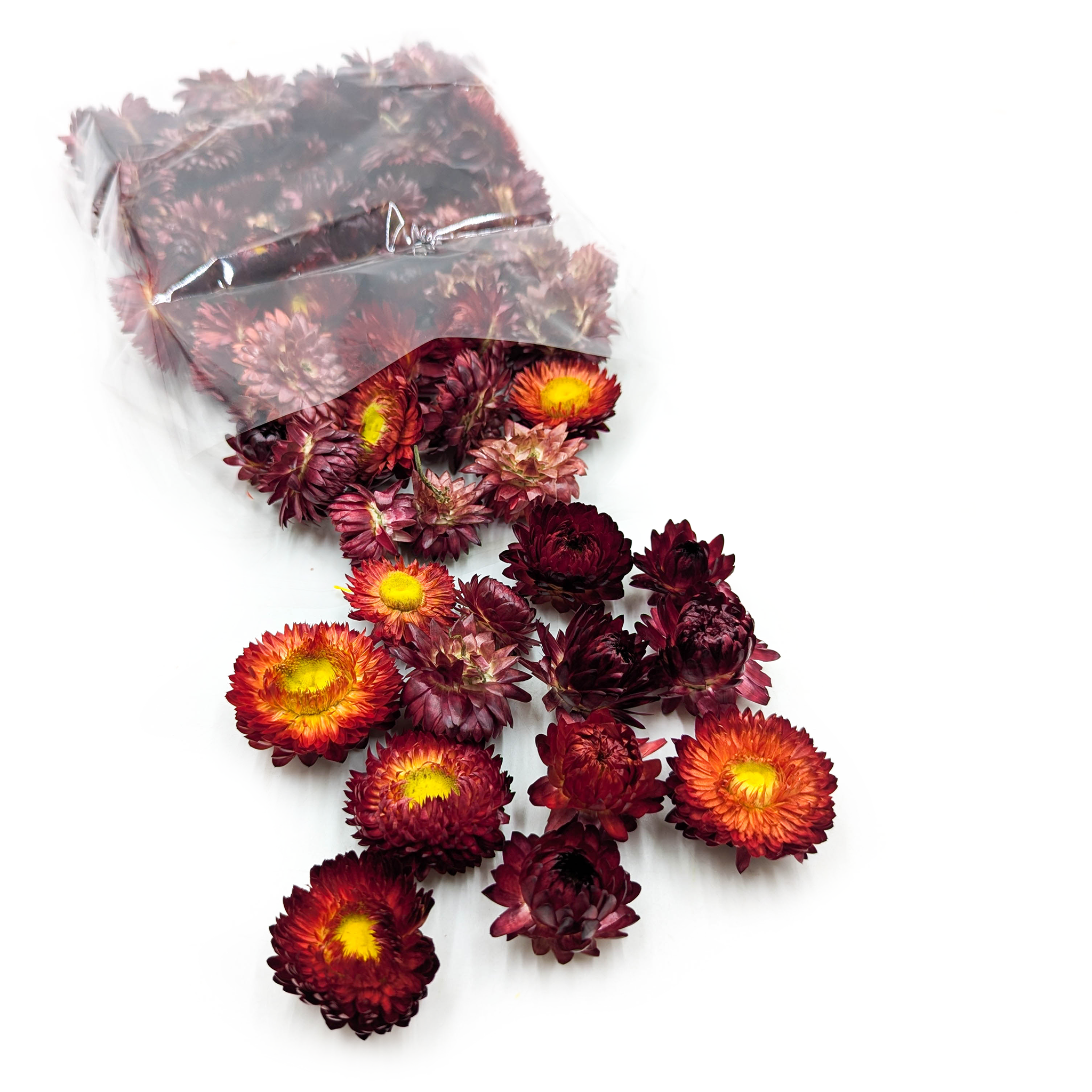 Kocanka Suszona - Główki - (Helichrysum) - Szkarłatny Czerwony