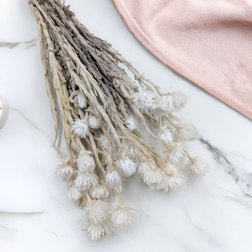 Kaaps naturalny 2.png