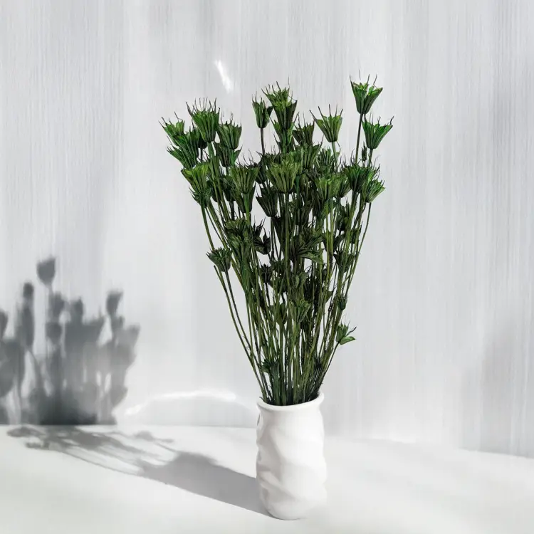 Nigella orientalis butelkowa zieleń IT 4.png