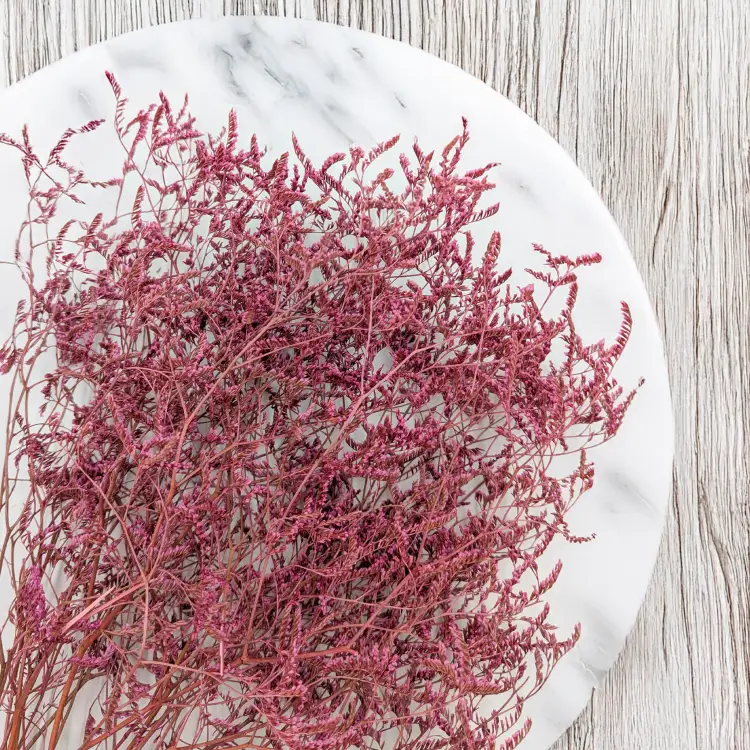 Statice Marine Vintge Pink 2.png